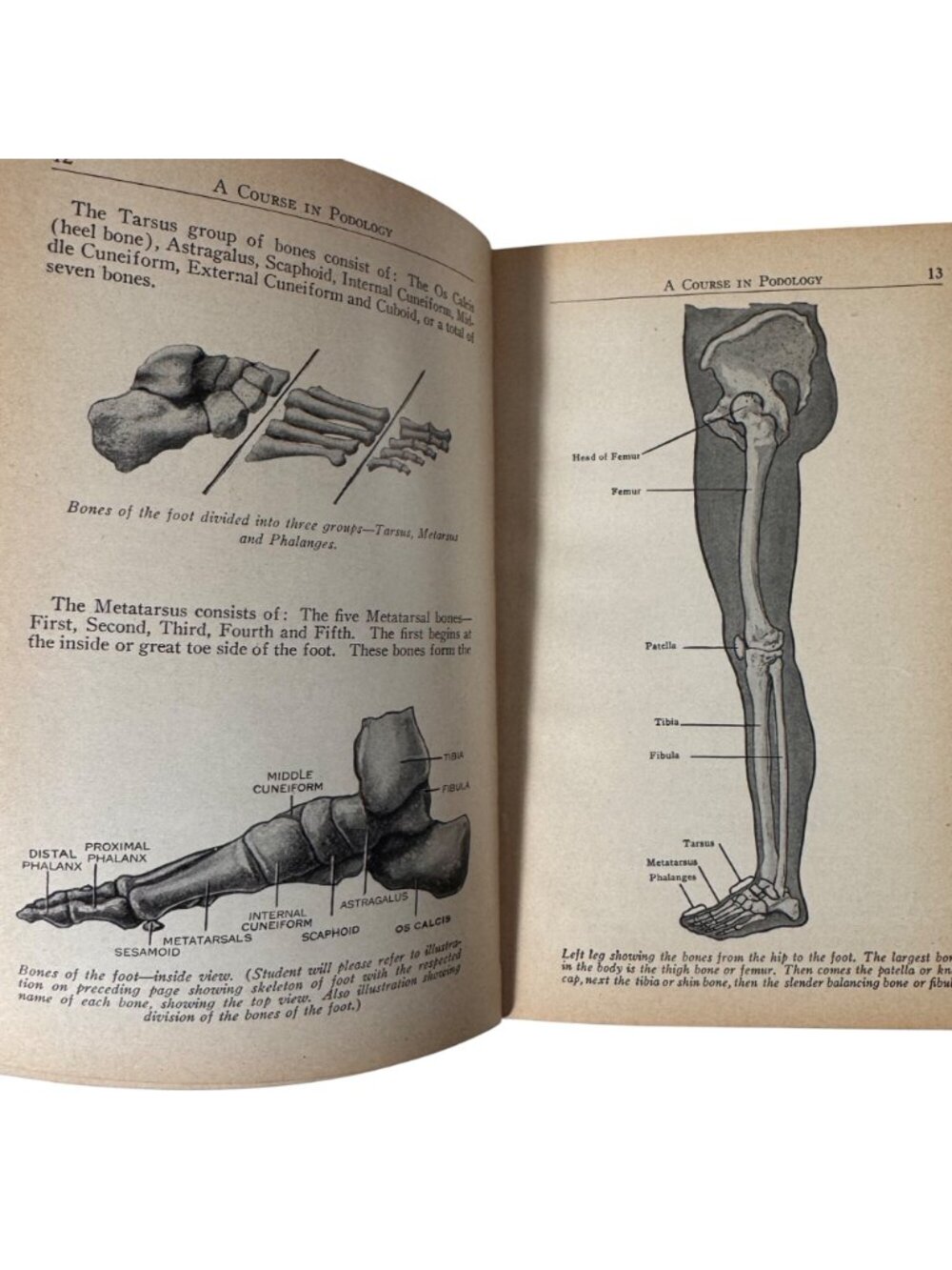 A Course in Podology National School of Podology Illust 1st Edition 1932 HC Book - Picture 7 of 16